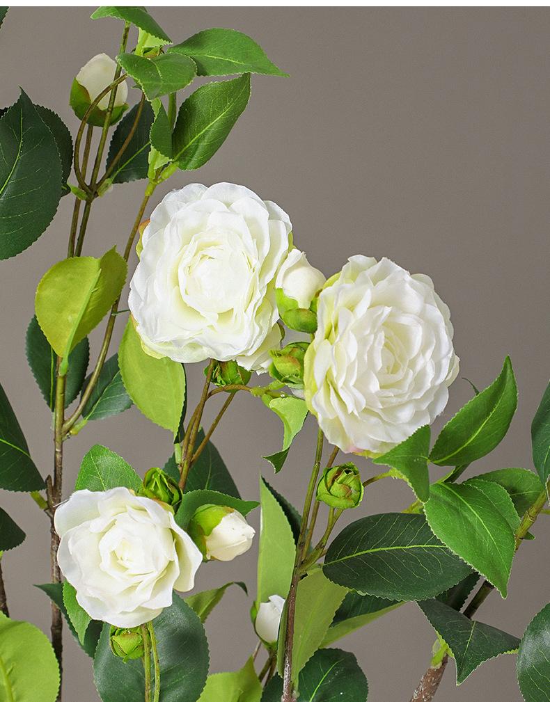 大枝茶花详情图