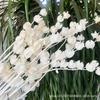 Linterna de Flores Preservadas Ramo de Flores Secas Frutales Carrillón de Viento Fabricante de Frutas Venta al por Mayor Decoración de Arreglo Floral para Hogar Hotel Casa de Huéspedes Boda