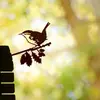 Suministro Transfronterizo de Estación Independiente Silueta de Pájaro Búho Colibrí Pájaro Carpintero Petirrojo Serie Silueta de Pájaro Enchufe para Jardín