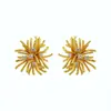 Pendientes de fuegos artificiales de diente de león de nicho coreano para mujer con incrustaciones de circonita Lujo accesible de alta gama Elegantes Versátiles Elegantes Pendientes de moda para Instagram