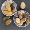 Piedras de Flor de Lluvia Multicolor en Stock, Guijarros para Pavimentación de Jardín, Guijarros de Río, Paisajismo de Acuarios, Guijarros de Colores Pulidos Negros y Blancos