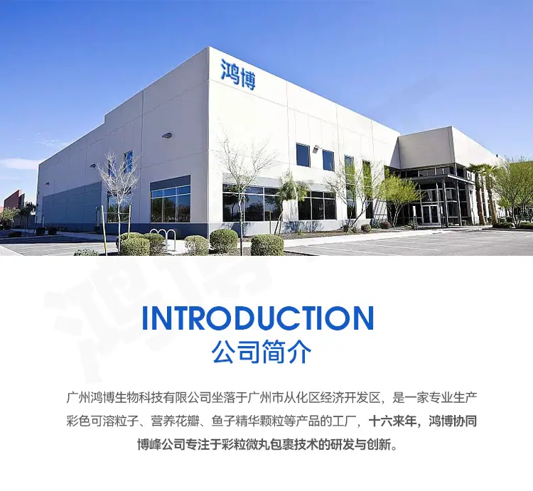 公司_02