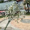 Nuevo Blanco Gympani Comercio Exterior 5 Ramas Milán Gympani Flores de Mano Decoración de Boda Coreana Flores Artificiales al por Mayor