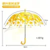 Atacado do Fabricante Guarda-chuva de Flores Gaiola de Pássaro Guarda-sol Transparente Arco de Princesa Forma de Folha de Bordo Guarda-chuva Impermeável Guarda-sol