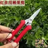 Tijeras de entresacar con forma de nido, Tijeras de entresacar, Tijeras de jardinería, Tijeras para podar flores y árboles, Tijeras para recoger plántulas y frutas, Específicas para huertos