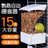Comedero automático para pájaros loro con separación de paja, antidispersión, integrado, con piel de tigre y comedero colgante interior.