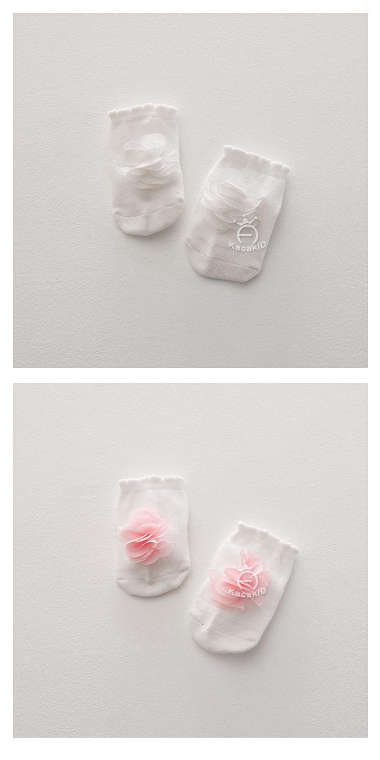 展示sy_02