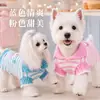 Ropa para Perros para Otoño e Invierno, Suéter Dulce con Rayas de Pastel y Cuello para Gatos Teddy Pequeños y Medianos, Ropa de Dos Patas para Mascotas