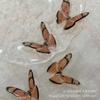 Nuevo gel de lujo de alta calidad, mariposa simétrica con caída de lámina dorada estéreo, accesorios de nicho de tiro Gumei hechos a mano