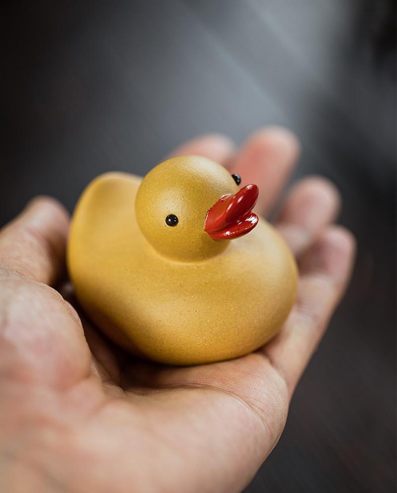 小黄鸭20210806 (13).jpg
