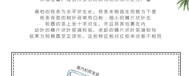 CA059桧木详情页_06.jpg