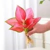 Planta em Vaso Vermelho Geely, Planta Verde Ruyi Rainha Elefante Branco Hidropônica, Planta de Folha Decorativa para Mesa de Escritório, Flor Fácil de Cuidar