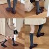 Calcetines de Pantorrilla Versátiles Coreanos para Otoño e Invierno con Logo de Letra Calcetines Casuales de Color Sólido de Algodón con Felpa Aeróbica Calcetines Zhuji Venta al por Mayor