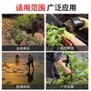Pala de Jardín, Pala de Acero Inoxidable para Jardinería, Pala Pequeña, Pala para Exteriores, Pala para Plantar en el Jardín, Pala para Aflojar la Tierra, Pala de Playa