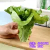 Legumes de Simulação Salsão Cebolinha Brotos de Alho Salsão Chinês Legumes Verdes Modelos Decoração de Gabinete Sala de Modelos Enfeites Adereços para Fotografia