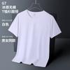 Camiseta de Verano Sin Costuras Cuello Redondo Manga Corta Camiseta Promocional Uniforme de Trabajo Uniforme de Clase Uniforme de Actividad Marca de Moda Absorbente de Sudor Transpirable Color Sólido