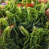 Secador de Verduras de Montaña, Juego Completo de Equipo para Blanquear y Secar Verduras de Helecho, Cámara de Secado por Energía del Aire Comercial para Verduras