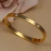Pulseira de Aço Titânio para Meninas, High-End, Fashion, Luxo Leve, Aço Inoxidável Simples, Pulseira de Diamante Trevo, Joia para Casal