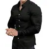 Camisa Nueva de Manga Larga para Hombre Otoño Primavera Cross Europe Estampado 3D Casual de Negocios Sin Planchar Color Sólido Camisa con Cuello