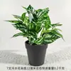 Plantas Verdes Simuladas, Rabanete Verde Falso, Decoração de Interior e Exterior, Plantas de Plástico em Vaso, Bonsai Pastoral, Plantas de Flores Simuladas, Pequenos Enfeites