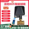 Válvula de bola eléctrica Zigbee manipulador WiFi válvula mecánica WiFi interruptor remoto protección contra fugas de agua graffiti inteligente