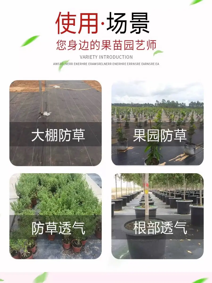 防草布7
