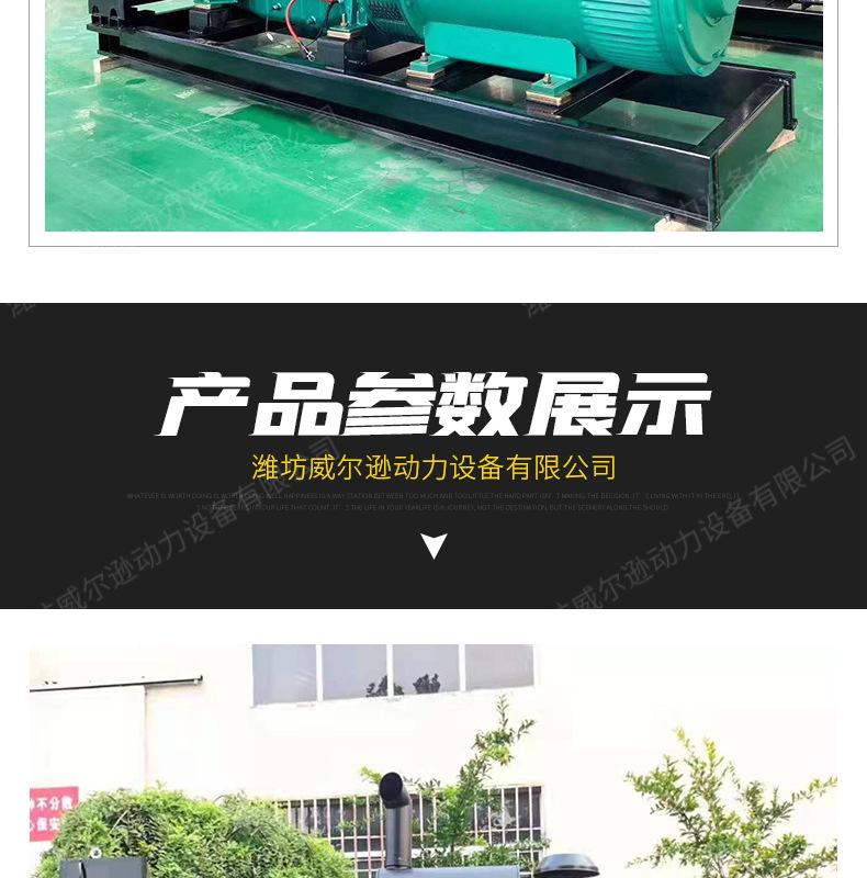 200kw柴油发电机组_10.jpg