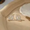 Brincos de Moda Personalidade Estilo Coreano com Agulha de Prata S925 para Mulheres, Brincos de Folha com Zircônia de Design Exclusivo, Brincos Exquisitos de Celebridade da Internet