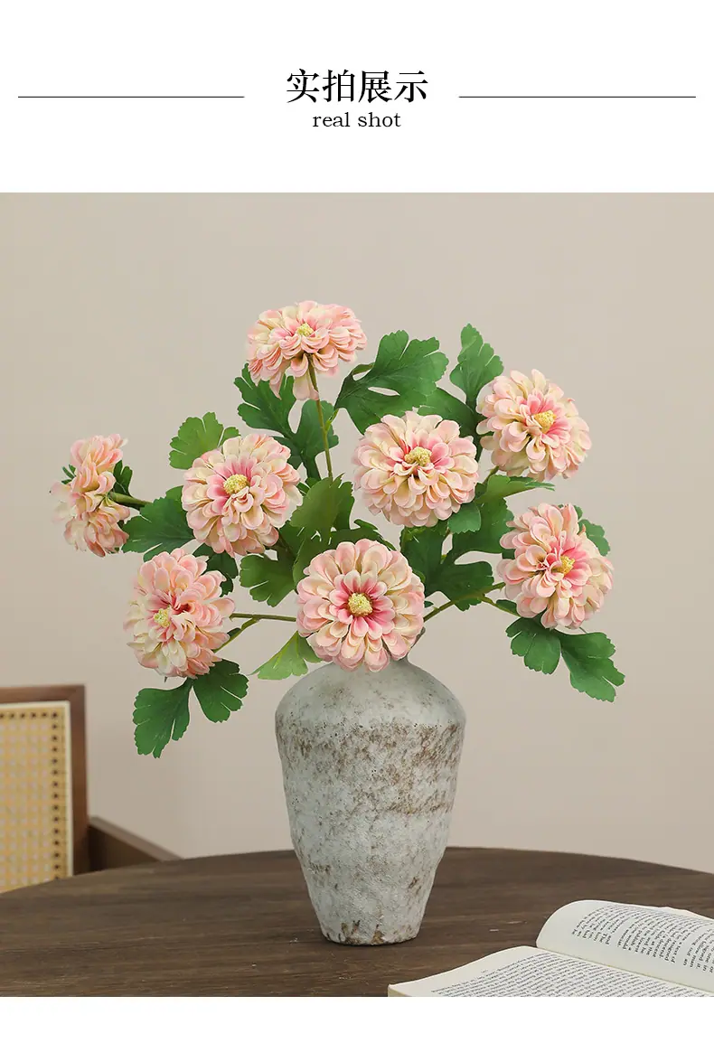 言且单头金盏菊_05.jpg