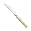 Faca de aço inoxidável para bife com cabo de bambu acrílico, cabo brilhante, aparência requintada, perfeita para realçar o ambiente da mesa de jantar em família