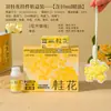 Caixa de Presente com Cabide de Gesso Aromático de Osmanthus Rico para Guarda-Roupa Doméstico, Ornamento Difusor Interno, Incenso de Longa Duração, Pedra Difusora para Carro, Presente