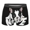 Dropshipping com Fotos Pode Ser Transformado em Cueca Boxer Masculina Elástica Confortável Respirável Estampada com Gato 3D para Animais de Estimação e Cachorros