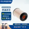 Filtro de Combustível para Fornecedor 201V12503-0062 Elemento Filtrante Diesel