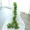 Hoja de vid trepadora planta verde árbol hoja tubería techo decoración plástico pothos dinero hoja verde enroscada