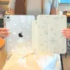 Funda tipo Y plegable Star Cat Fishing, adecuada para tabletas iPad de 11/10ª generación, con ranura para lápiz, también compatible con Air 4/5/6 y mini