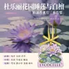 Hojas Perfumadas Aroma Aceite Esencial Zhanjia Especial para Armarios y Closets Dormitorio Hogar Colgador de Aroma Coche Aroma Fragancia de Larga Duración