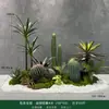 Cactos e Suculentas Artificiais Atacado para Paisagismo, Paisagens com Plantas Falsas Tropicais e Desérticas