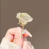 Broche com Acabamento de Luxo, Estilo Nicho e Simples, Alfinete de Roupa, Acessório de Pérola para Terno, Broche