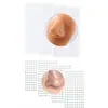 Transfronterizo 180 3 piezas 4/chapado en plata/chapado en oro calcomanías joyería falsa de perforación Amazon temu venta caliente