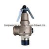 Válvula de segurança do compressor de ar de parafuso Shouli 250014-428