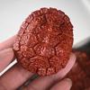 Pieza de mango de sándalo rojo Talla de madera de ébano de sándalo rojo Literatura Juego Armadura rica Adornos del mundo Placa Juego Caparazón de tortuga Accesorios de bricolaje Accesorios