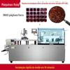 DPP-260L tipo plano verme vermelho Alumínio plástico máquina de embalagem blister verme vermelho Alumínio Plástico fabricante de máquina de embalagem