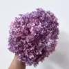 Flor Eterna Hortênsia Anna Pétalas de Hortênsia Hortênsia de Folha Grande Material de Flor para DIY Pacote de Material de Flor Flutuante para Aromaterapia Atacado
