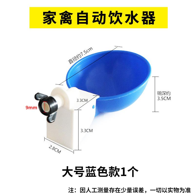 大号蓝色1个