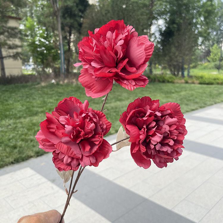 TeHui3大头涂层牡丹-sxzxx-红色.JPG