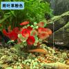 Pet Supplies Simulação Plástico Água Grama Decoração Planta Tanque de Peixes Paisagem Falso Água Grama Bonsai Prato Decoração Simulação Flor
