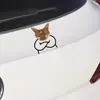 Pegatinas creativas personalizadas para coche, laptop y equipaje con expresión de sorpresa de perro y gato, meme lindo y divertido