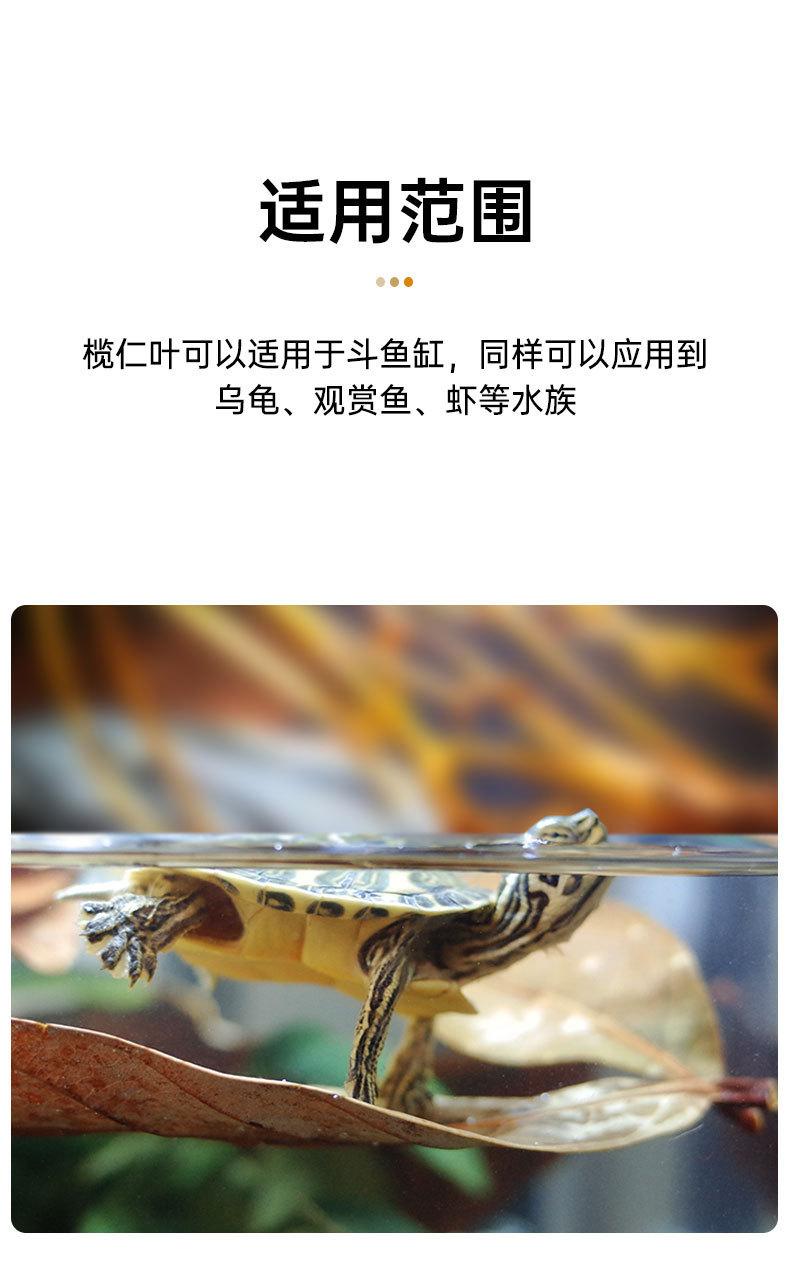 详情_06.jpg
