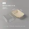 Caixa de Refeição Descartável de Polpa Biodegradável Ecológica Caixa de Almoço Personalizável Caixa para Fast Food Caixa de Almoço com Compartimento com Tampa Caixa para Levar
