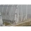 Invernadero Cobertizo Invernadero de Hortalizas Estructura de Invernadero Accesorios para Invernadero-- Tornillos Estacas para el Suelo Ganchos para el Suelo Anclajes para el Suelo